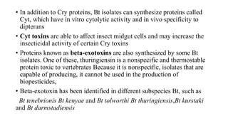 • In addition to Cry proteins, Bt isolates can synthesize proteins called
Cyt, which have in vitro cytolytic activity and in vivo specificity to
dipterans
• Cyt toxins are able to affect insect midgut cells and may increase the
insecticidal activity of certain Cry toxins
• Proteins known as beta-exotoxins are also synthesized by some Bt
isolates. One of these, thuringiensin is a nonspecific and thermostable
protein toxic to vertebrates Because it is nonspecific, isolates that are
capable of producing, it cannot be used in the production of
biopesticides,
• Beta-exotoxin has been identified in different subspecies Bt, such as
Bt tenebrionis Bt kenyae and Bt tolworthi Bt thuringiensis,Bt kurstaki
and Bt darmstadiensis
 