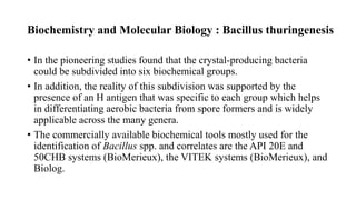 Biochemistry and Molecular Biology : Bacillus thuringenesis
• In the pioneering studies found that the crystal-producing bacteria
could be subdivided into six biochemical groups.
• In addition, the reality of this subdivision was supported by the
presence of an H antigen that was specific to each group which helps
in differentiating aerobic bacteria from spore formers and is widely
applicable across the many genera.
• The commercially available biochemical tools mostly used for the
identification of Bacillus spp. and correlates are the API 20E and
50CHB systems (BioMerieux), the VITEK systems (BioMerieux), and
Biolog.
 