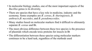 • In molecular biology studies, one of the most important aspects of the
Bacillus genus is its diversity.
• There are species that have a key role in medicine, industry and the
economy. Some examples are B. cereus, B. thuringiensis, B.
anthracis,B. mycoides, and B. pseudomycoides.
• Many studies based on molecular markers find it difficult to ultimately
separate B. cereus and Bt.
• The most obvious difference between these two species is the presence
of plasmids which encode toxic proteins for insects in Bt
• The differentiation between these species using molecular markers
continues to be a hard task, regardless of the methods used
 