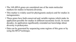 • The 16S rRNA genes are considered one of the main molecular
markers for studies in bacteria diversity.
• This marker is widely used for phylogenetic analysis and for studies in
metagenomics
• These genes have both conserved and variable regions which make its
application possible for studies in different taxonomic levels. In recent
decades, its application significantly extended our knowledge about
diversity in prokaryotes.
• Data can be generated by sequencing some regions of this gene or by
using the RFLP technique.
 