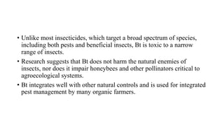 • Unlike most insecticides, which target a broad spectrum of species,
including both pests and beneficial insects, Bt is toxic to a narrow
range of insects.
• Research suggests that Bt does not harm the natural enemies of
insects, nor does it impair honeybees and other pollinators critical to
agroecological systems.
• Bt integrates well with other natural controls and is used for integrated
pest management by many organic farmers.
 