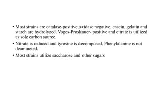 • Most strains are catalase-positive,oxidase negative, casein, gelatin and
starch are hydrolyzed. Voges-Proskauer- positive and citrate is utilized
as sole carbon source.
• Nitrate is reduced and tyrosine is decomposed. Phenylalanine is not
deamineted.
• Most strains utilize saccharose and other sugars
 