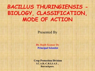 BACILLUS THURINGIENSIS -
BIOLOGY, CLASSIFICATION,
MODE OF ACTION
Presented By
Dr. Rajib Kumar De
Principal Scientist
Crop Protection Division
I.C.A.R.-C.R.I.J.A.F. ,
Barrackpore.
 