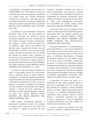 948
Semina: Ciências Agrárias, Londrina, v. 31, n. 4, p. 945-958, out./dez. 2010
Angelo, E. A.; Vilas-Bôas, G. T.; Castro-Gómez, R. J. H.
a classificação e nomenclatura das proteínas Cry
(CRICKMORE et al., 1998, 2008). De acordo com
a definição mais aceita, uma proteína é considerada
Cry, quando forma uma inclusão paraesporal
(cristal) em B. thuringiensis, exibe algum grau de
toxicidade a insetos alvos, ou apresente seqüência de
aminoácidos similar a uma proteína Cry já descrita
(BRAVO; GILLB; SOBERÓN, 2007; SCHNEPF,
et al, 1998).
As proteínas Cry são sintetizadas na forma de
protoxinas. Desta forma, sua ação depende de
processos de ativação, que ocorrem no interior
do aparelho digestório do inseto. Atualmente, há
dois modelos, baseados em dados experimentais,
que explicam o modo de ação das toxinas Cry.
As primeiras etapas desses dois modelos são
idênticas: após a ingestão dos cristais, esses são
solubilizados no intestino do inseto, local com pH
alcalino, liberando as protoxinas que são clivadas
por proteases do próprio inseto, resultando em
toxinas ativas, com cerca de 60 a 70% do tamanho
da protoxina. A toxina ativa é capaz de ligar-se a
receptoresespecíficospresentesnasmicrovilosidades
das células intestinais do inseto (BRAVO; GILLB;
SOBERÓN, 2007; SCHNEPF, et al., 1998).
O modelo de ação denominado “formação de
poros” é o mais antigo e parece ser o mais comum
entre as diferentes ordens de insetos (Dípteros,
Lepidópteros e Coleópteros). Segundo esse modelo,
aligaçãodatoxinacomreceptoresespecíficoslevaria
a formação de oligômeros de toxinas, os quais se
ligariam a receptores secundários da membrana
da célula intestinal. Como resultado dessa ligação,
ocorreria a inserção da toxina oligomérica na
membrana da célula epitelial intestinal, resultando
em poros nesse epitélio (BRAVO; GILLB;
SOBERÓN, 2007; BRAVO; SOBERÓN, 2008;
HABIB; ANDRADE, 1986).
Outro modelo, recentemente publicado, é
denominado “transdução de sinal” e foi estudado
em apenas poucos insetos-alvos. De acordo com
esse modelo, a ligação da proteína Cry com
receptores específicos, induziria uma série de
reações intracelulares, que envolvem a proteína
G e a adenilato ciclase, resultando no aumento da
concentração de adenosina monofosfato cíclico
(AMPc) intracelular e ativação da proteína quinase
A. Todas essas conseqüências provocariam
um desequilíbrio da pressão interna celular,
danificando-a (BRAVO; SOBERÓN, 2008).
A ação das toxinas, seja por qualquer um dos
modelos, resulta na paralisia do aparelho digestório,
ocasionando morte por inanição, paralisia geral
dos músculos e septicemia (BRAVO; GILLB;
SOBERÓN, 2007; BRAVO; SOBERÓN, 2008;
HABIB; ANDRADE, 1986; VALLETE-GELY;
LEMAITRE; BOCCARD, 2008).
A formação de proteínas Cry é determinada por
genes denominados cry e uma mesma linhagem de
B. thuringiensis pode conter um único gene cry ou
várias cópias de um mesmo gene, ou mesmo vários
genes cry diferentes, determinando a formação
de diferentes proteínas Cry, que podem compor
um ou mais cristais intracelulares. Grande parte
dos genes cry localiza-se em plasmídeos grandes,
freqüentementeconjugativos,oquepodepossibilitar
a passagem destes plasmídeos de uma linhagem
para outra, resultando na formação de linhagens
com uma grande diversidade de perfis de toxicidade
(CAPALBO; VILAS-BÔAS; ARANTES, 2004;
LERECLUS; DELÉCLUSE; LECADET, 1993).
A transcrição da maioria dos genes cry é
dependente do fator sigma, produzido durante o
processo de esporulação, por isso a maior parte
das proteínas que compõem o cristal é produzida
durante essa etapa. Apenas uma pequena parcela
dos genes cry é regulada independentemente da
esporulação, sendo, portanto, expressos também
durante o crescimento vegetativo. Em ambos
os casos, a proteína Cry é fruto do metabolismo
secundário (ARANTES et al., 2002; LERECLUS;
DELÉCLUSE; LECADET, 1993).
A massa molecular das proteínas Cry varia
entre 40 e 140 KDa. A molécula destas proteínas
 