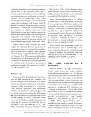 949
Semina: Ciências Agrárias, Londrina, v. 31, n. 4, p. 945-958, out./dez. 2010
Bacillus thuringiensis: caracteristicas gerais e fermentação
é globular, formada por três domínios estruturais
ligados entre si por pequenas pontes. Até o
momento, seis proteínas Cry tiveram suas estruturas
bem determinadas por cristalografia por raios-X
(BRAVO; GILLB; SOBERÓN, 2007). Estas
proteínas apresentam alto grau de similaridade entre
seus domínios, indicando modo de ação similar. O
domínio I, composto pela extremidade N-terminal
das proteínas, é formado por cadeias polipeptídicas
com estrutura em α-hélice, sendo uma central
(hidrofóbica), cercada por 6 cadeias marginais. O
domínioIIécompostoportrêscadeiaspolipeptídicas
antiparalelas com estrutura folha β pregueada,
enquanto que o domínio III apresenta estrutura tipo
β sanduíche (BRAVO; GILLB; SOBERÓN, 2007).
Embora estudos atuais indiquem que várias
porções dos diferentes domínios da proteína se
insiram na membrana no momento de formação dos
poros, acredita-se que o domínio I seja o principal
responsável pela inserção (NAIR; DEAN, 2008).
Os domínios II e III apresentam similaridades
estruturais com cadeias polipeptídicas que se ligam
a carboidratos e estariam envolvidos principalmente
no reconhecimento de receptores presentes na
membrana das células dos insetos-alvo (BRAVO;
GILLB; SOBERÓN, 2007).
Proteínas Cyt
As proteínas Cyt são definidas como proteínas
com atividade hemolítica que compõem uma
inclusão paraesporal de B. thuringiensis, ou alguma
proteína que apresente seqüência de aminoácidos
altamente similar às proteínas Cyt já descritas.
Estas proteínas apresentam uma similaridade
estrutural com a valvatoxina, produzida pelo fungo
Volvariella volvacea.As proteínas Cyt são formadas
por apenas um domínio, composto por duas cadeias
externas em forma de α-hélice, e uma cadeia interna
em forma de β-folha pregueada. Atualmente são
conhecidas 27 proteínas Cyt (BRAVO; GILLB;
SOBERÓN, 2007; CRICKMORE et al., 1998,
2008), classificadas em grupos principais: Cyt1A,
Cyt1B, Cyt1C, Cyt2A e Cyt2B. O mesmo comitê
responsável pela classificação das proteínas Cry,
também gerencia a classificação e nomenclatura das
proteínas Cyt (CRICKMORE et al., 2008).
Assim como as proteínas Cry, as Cyt também
são sintetizadas na forma de protoxinas. No interior
do inseto, as proteínas Cyt sofrem quebras, onde
suas porções C-terminal e N-terminal são clivadas,
liberando a toxina ativa. Ao contrário das proteínas
Cry, Cyt não se liga a receptores específicos da
membrana celular, e sim, diretamente aos lipídios
da membrana. Após sua ligação, as proteínas
Cyt induzem a formação de poros ou agem
desestruturando a bicamada lipídica das membranas
(BRAVO; GILLB; SOBERÓN, 2007).
Vários estudos têm demonstrado ocorrer um
efeito sinergístico entre as proteínas Cry e entre
estas e as proteínas Cyt, ou seja, a maior toxicidade
é devida à interação das proteínas, onde uma
potencializa o efeito da outra (BRAVO; GILLB;
SOBERÓN, 2007; ÖSKAN et al., 2003).
Outras toxinas produzidas por B.
thuringiensis
Além das proteínas Cry e Cyt, B. thuringiensis
sintetiza outras toxinas que podem contribuir
para a ação entomopatogênica. Em 1967 Heimpel
sugeriu o nome de β-exotoxina para uma substância
termoestável e tóxica para alguns insetos. Devido
a sua estrutura química o nome β-exotoxina vem
sendosubstituídoporthuringiensina.Essasproteínas
possuem baixo peso molecular, a sua toxicidade
relaciona-se a inibição da RNA polimerase, pois
é análoga a nucleotídeos. Embora não possua
especificidade, a ação de thuringiensina contribui
para a toxidade global das linhagens que a expressam
(GLARE; O’CALLAGHAN, 2000; HABIB;
ANDRADE, 1998; LERECLUS; DELÉCLUSE;
LECADET, 1993). Alguns trabalhos citam a
importância dessa toxina no controle de besouros
e algumas espécies de ácaros (WU et al., 2002). No
entanto, as linhagens comerciais de B. thuringiensis
 