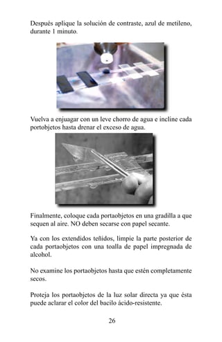 Después aplique la solución de contraste, azul de metileno,
durante 1 minuto.




Vuelva a enjuagar con un leve chorro de agua e incline cada
portobjetos hasta drenar el exceso de agua.




Finalmente, coloque cada portaobjetos en una gradilla a que
sequen al aire. NO deben secarse con papel secante.

Ya con los extendidos teñidos, limpie la parte posterior de
cada portaobjetos con una toalla de papel impregnada de
alcohol.

No examine los portaobjetos hasta que estén completamente
secos.

Proteja los portaobjetos de la luz solar directa ya que ésta
puede aclarar el color del bacilo ácido-resistente.

                             26
 