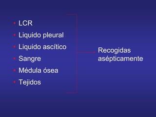 • LCR
• Liquido pleural
• Liquido ascítico
• Sangre
• Médula ósea
• Tejidos
Recogidas
asépticamente
 