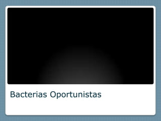 Bacterias Oportunistas
 
