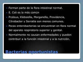    Forman parte de la flora intestinal normal.
   E. Coli es la más común
   Proteus, Klebsiella, Morganella, Providencia,
    Citrobacter y Serratia son menos comunes.
   Pocas enterobacterias se encuentran en flora normal
    del aparato respiratorio superior y genital.
   Normalmente no causan enfermedades y pueden
    contribuir a la función intestinal y a la nutrición.




Bacterias oportunistas
 