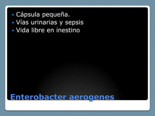  Cápsula pequeña.
 Vías urinarias y sepsis
 Vida libre en inestino




Enterobacter aerogenes
 