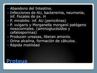    Abandono del Intestino.
   Infecciones de AU, bacteremia, neumonia,
    inf. Focales de px. H
   P. mirabilis: inf. AU (penicilinas)
   P. vulgaris y Morganella morganii patógeno
    nosocomiales. (aminoglucósidos y
    cefalosporinas)
   Producen ureasas, liberan amonio.
   Orina alcalina, formación de cálculos.
   Rápida motilidad



Proteus
 