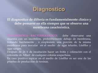 El diagnostico de difteria es fundamentalmente clínico y
     debe pensarse en ella siempre que se observe una
                 membrana característica.

DIAGNOSTICO BACTERIOLOGICO:                  debe observarse una
muestra con un escobillón, preferiblemente debajo de membrana,
frotando fuertemente , o empleando una porción de la misma
membrana para inocular en el medio de agar telurito, Löeffler y
agar sangre.
Después de 24 h de incubación hacer un frotis y coloración con el
colorante de Albert de cualquier colonia sospechosa.
En caso positivo repicar en el medio de Löeffler es ser una de las
pruebas de producción de toxinas.
 