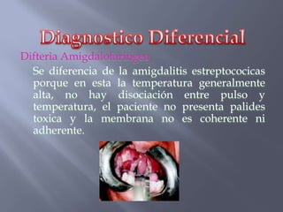 Difteria Amigdalofaringea
  Se diferencia de la amigdalitis estreptococicas
  porque en esta la temperatura generalmente
  alta, no hay disociación entre pulso y
  temperatura, el paciente no presenta palides
  toxica y la membrana no es coherente ni
  adherente.
 