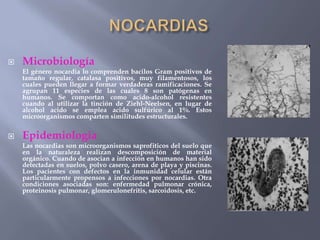    Microbiología
    El género nocardia lo comprenden bacilos Gram positivos de
    tamaño regular, catalasa positivos, muy filamentosos, los
    cuales pueden llegar a formar verdaderas ramificaciones. Se
    agrupan 11 especies de las cuales 8 son patógenas en
    humanos. Se comportan como acido-alcohol resistentes
    cuando al utilizar la tinción de Ziehl-Neelsen, en lugar de
    alcohol acido se emplea acido sulfúrico al 1%. Estos
    microorganismos comparten similitudes estructurales.


   Epidemiologia
    Las nocardias son microorganismos saprofiticos del suelo que
    en la naturaleza realizan descomposición de material
    orgánico. Cuando de asocian a infección en humanos han sido
    detectadas en suelos, polvo casero, arena de playa y piscinas.
    Los pacientes con defectos en la inmunidad celular están
    particularmente propensos a infecciones por nocardias. Otra
    condiciones asociadas son: enfermedad pulmonar crónica,
    proteinosis pulmonar, glomerulonefritis, sarcoidosis, etc.
 