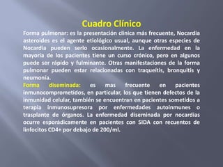 Cuadro Clínico
Forma pulmonar: es la presentación clínica más frecuente, Nocardia
asteroides es el agente etiológico usual, aunque otras especies de
Nocardia pueden serlo ocasionalmente. La enfermedad en la
mayoría de los pacientes tiene un curso crónico, pero en algunos
puede ser rápido y fulminante. Otras manifestaciones de la forma
pulmonar pueden estar relacionadas con traqueítis, bronquitis y
neumonía.
Forma      diseminada:    es    mas    frecuente   en    pacientes
inmunocomprometidos, en particular, los que tienen defectos de la
inmunidad celular, también se encuentran en pacientes sometidos a
terapia inmunosupresora por enfermedades autoinmunes o
trasplante de órganos. La enfermedad diseminada por nocardias
ocurre esporádicamente en pacientes con SIDA con recuentos de
linfocitos CD4+ por debajo de 200/ml.
 