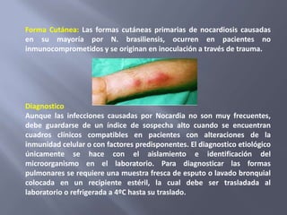 Forma Cutánea: Las formas cutáneas primarias de nocardiosis causadas
en su mayoría por N. brasiliensis, ocurren en pacientes no
inmunocomprometidos y se originan en inoculación a través de trauma.




Diagnostico
Aunque las infecciones causadas por Nocardia no son muy frecuentes,
debe guardarse de un índice de sospecha alto cuando se encuentran
cuadros clínicos compatibles en pacientes con alteraciones de la
inmunidad celular o con factores predisponentes. El diagnostico etiológico
únicamente se hace con el aislamiento e identificación del
microorganismo en el laboratorio. Para diagnosticar las formas
pulmonares se requiere una muestra fresca de esputo o lavado bronquial
colocada en un recipiente estéril, la cual debe ser trasladada al
laboratorio o refrigerada a 4ºC hasta su traslado.
 