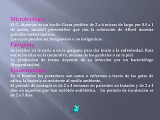 Microbiología
El C. dipteriae es un bacilo Gram positivo de 2 a 6 micras de largo por 0.5 a 1
de ancho, inmóvil pleomórfico que con la coloración de Albert muestra
gránulos metacronaticos.
Las cepas pueden ser toxigénocos o no toxigénicas.
Patogenia
Se localiza en la nariz o en la garganta para dar inicio a la enfermedad. Rara
vez se localiza en la conjuntiva, mucosa de los genitales o en la piel.
La producción de toxina depende de su infección por un bacteriófago
(lisogenización).
Epidemiología
En el hombre los portadores son sanos o enfermos a través de las gotas de
saliva, la bacteria es resistente al medio ambiente.
El periodo de contagio es de 2 a 4 semanas en pacientes no tratados y de 2 a 4
días en aquellos que han recibido antibiótico. Su periodo de incubación es
de 2 a 5 días.
 