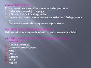 CARACTERISTICAS
En un caso típico la membrana se caracteriza porque es:
1. Coherente: no se deja disgregar
2. Adherente: difícil de desprender
3. Invasora de las estructuras vecinas: se extiende al faringe, úvula,
   etc.
4. Una vez desprendida se reproduce rápidamente

MANIFESTACIONES DE LA TOXEMIA
Palidez, adinamia, anorexia, febrícula, pulso acelerado y débil.

CLASIFICACION SEGÚN SU LOCALIZACIÓN DE LA
   MEMBRANA
1. Amigdalo-faríngea
2. Laringotraqueakl(crup)
3. Nasal
4. Ocular
5. Cutánea
6. Ótica
7. vaginal
 