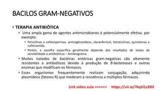 BACILOS GRAM-NEGATIVOS
• TERAPIA ANTIBIÓTICA
• Uma ampla gama de agentes antimicrobianos é potencialmente efetiva, por
exemplo:
• Penicilinas e cefalosporinas, aminoglicosídeos, cloranfenicol, tetraciclinas, quinolonas e
sulfonamida.
• Porém, a escolha específica geralmente depende dos resultados de testes de
sensibilidade a antibióticos – Antibiograma.
• Muitos isolados de bactérias entéricas gram-negativas são altamente
resistentes a antibióticos devido à produção de β-lactamases e outras
enzimas que modificam os fármacos.
• Esses organismos frequentemente realizam conjugação, adquirindo
plasmídeos (fatores R) que medeiam a resistência a múltiplos fármacos.
Link vídeo aula >>>>>> https://uii.io/7kqVZa3l02
 