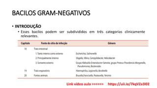 BACILOS GRAM-NEGATIVOS
• INTRODUÇÃO
• Esses bacilos podem ser subdivididos em três categorias clinicamente
relevantes.
Link vídeo aula >>>>>> https://uii.io/7kqVZa3l02
 