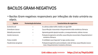 BACILOS GRAM-NEGATIVOS
• Bacilos Gram-negativos responsáveis por infecções do trato urinário ou
sépsis.
Link vídeo aula >>>>>> https://uii.io/7kqVZa3l02
 