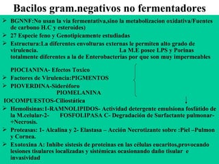 Bacilos gram.negativos no fermentadores BGNNF:No usan la via fermentativa,sino la metabolizacion oxidativa/Fuentes de carbono H.C y esteroides) 27 Especie feno y Genotipicamente estudiadas Estructura:La diferentes envolturas externas le permiten alto grado de virulencia.  La M.E posee LPS y Porinas totalmente diferentes a la de Enterobacterias por que son muy impermeables  PIOCIANINA- Efectos Toxico Factores de Virulencia:PIGMENTOS  PIOVERDINA-Sideróforo  PIOMELANINA IOCOMPUESTOS-Ciliostática Hemolisinas:1-RAMNOLIPIDOS- Actividad detergente emulsiona fosfátido de la M.celular-2-  FOSFOLIPASA C- Degradación de Surfactante pulmonar-+Necrosis. Proteasas: 1- Alcalina y 2- Elastasa – Acción Necrotizante sobre :Piel –Pulmon y Cornea. Exotoxina A: Inhibe sistesis de proteinas en las células eucaritos,provocando lesiones tisulares localizadas y sistémicas ocasionando daño tisular  e invasividad 