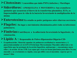 Citotoxinas:  Leucocidina que daña PMN,Linfocitos y Marófagos Sideróforos:  1-PIOQUELINA Y PIOVERDINA- Son cromóforos quelantes que secuestran el hierro de la transferrina plasmática. El Fe, es Imprescindible para la vida de la bacteria favorecinedo la multiplicación de la misma Enterotoxina: En estudio su poder patógenos sobre diarreas secretoras. Flagelos:  Da lugar a movimientos diseminantes,sobre todo en infecciones pulmonares. Fimbrias: Contribuyen  a  la adherencia favoreciendo la fagocitosis y la colonización. Lipido A :  Responsable de Fiebre-Hipotensión-Oliguria-CID- Exopolisacárido: Material capsular de polímeros acetilados(Ac manurónico y L glucurónico)similar al ALGINATO,forman Microcolonias Mucoides adherente a las superficies que las protegen de la acción fagocitica, anticuerpos  y mecanismos muco ciliar y la acción  de los ATB. Las cepas que viven en forma plactonica,osea libre No son mucoide y su crecimiento es rápido, cosa que difire con al mucoidea  esperar por lo menos 5 días 