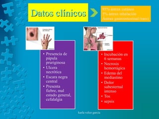 95% ántrax cutáneo
Datos clínicos                              5% ántrax inhalación
                                            Ántrax gastrointestinal (raro)




   • Presencia de                           • Incubación en
     pápula                                   6 semanas
     pruriginosa                            • Necrosis
   • Ulcera                                   hemorrágica
     necrótica                              • Edema del
   • Escara negra                             mediastino
     central                                • Dolor
   • Presenta                                 subesternal
     fiebre, mal                              intenso
     estado general,                        • Tos
     cefalalgia                             • sepsis

                       karla veloz garcia
 