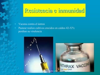 Resistencia e inmunidad

• Vacuna contra el ántrax
• Pasteur realizo cultivos crecidos en caldos 42-52ºc
  perdían su virulencia




                              karla veloz garcia
 