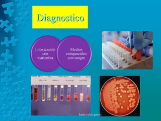 Diagnostico


Intoxicación     Medios
    con        enriquecidos
 estricnina     con sangre




                      karla veloz garcia
 