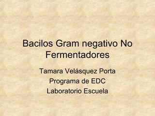 Bacilos Gram negativo No
     Fermentadores
   Tamara Velásquez Porta
      Programa de EDC
     Laboratorio Escuela
 