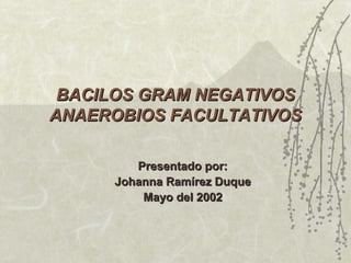 BACILOS GRAM NEGATIVOS
ANAEROBIOS FACULTATIVOS
Presentado por:
Johanna Ramírez Duque
Mayo del 2002

 