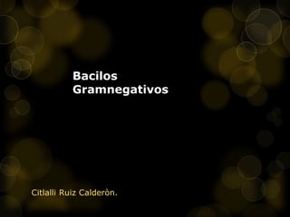 Bacilos
Gramnegativos
Citlalli Ruiz Calderòn.
 
