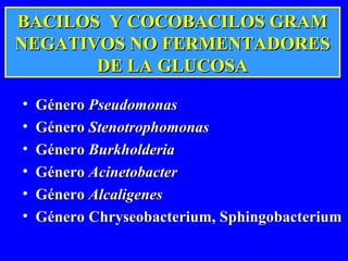 BACILOS Y COCOBACILOS GRAMBACILOS Y COCOBACILOS GRAM
NEGATIVOS NO FERMENTADORESNEGATIVOS NO FERMENTADORES
DE LA GLUCOSADE LA GLUCOSA
• GéneroGénero PseudomonasPseudomonas
• GéneroGénero StenotrophomonasStenotrophomonas
• GéneroGénero BurkholderiaBurkholderia
• GéneroGénero AcinetobacterAcinetobacter
• GéneroGénero AlcaligenesAlcaligenes
• GéneroGénero Chryseobacterium, SphingobacteriumChryseobacterium, Sphingobacterium
 