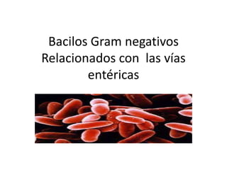 Bacilos Gram negativos
Relacionados con las vías
entéricas
 