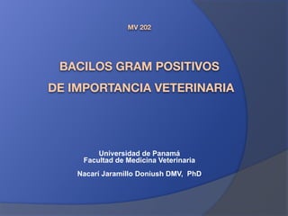 MV 202 
 
 
BACILOS GRAM POSITIVOS 
DE IMPORTANCIA VETERINARIA
Universidad de Panamá
Facultad de Medicina Veterinaria
Nacarí Jaramillo Doniush DMV, PhD
 