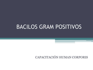 BACILOS GRAM POSITIVOS
CAPACITACIÓN HUMAN CORPORIS
 