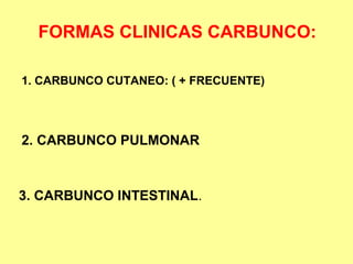 FORMAS CLINICAS CARBUNCO:
1. CARBUNCO CUTANEO: ( + FRECUENTE)

2. CARBUNCO PULMONAR

3. CARBUNCO INTESTINAL.

 