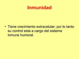 Inmunidad

• Tiene crecimiento extracelular; por lo tanto
su control esta a cargo del sistema
inmune humoral.

 