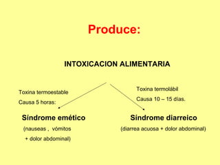 Produce:
INTOXICACION ALIMENTARIA

Toxina termoestable
Causa 5 horas:

Síndrome emético
(nauseas , vómitos
+ dolor abdominal)

Toxina termolábil
Causa 10 – 15 días.

Síndrome diarreico
(diarrea acuosa + dolor abdominal)

 
