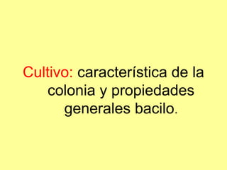 Cultivo: característica de la
colonia y propiedades
generales bacilo.

 