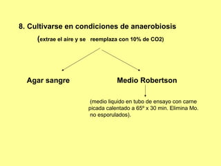 8. Cultivarse en condiciones de anaerobiosis
(extrae el aire y se

Agar sangre

reemplaza con 10% de CO2)

Medio Robertson
(medio liquido en tubo de ensayo con carne
picada calentado a 65º x 30 min. Elimina Mo.
no esporulados).

 