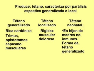 Produce: tétano, caracteriza por parálisis
espastica generalizada o local
Tétano
generalizado

Tétano
localizado

Risa sardónica
Trimus,
opistotomos
espasmo
musculares

Rigidez
muscular
dolorosa

Tétano
neonatal.
•En hijos de
madres no
inmunes.
Forma de
tétano
generalizado

 