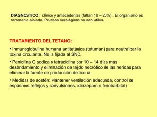 DIAGNOSTICO: clínico y antecedentes (faltan 10 – 20%) . El organismo es
raramente aislado. Pruebas serológicas no son útiles.

TRATAMIENTO DEL TETANO:
• Inmunoglobulina humana antitetánica (tetuman) para neutralizar la
toxina circulante. No la fijada al SNC.
• Penicilina G sodica o tetraciclina por 10 – 14 días más
desbridamiento y eliminación de tejido necrótico de las heridas para
eliminar la fuente de producción de toxina.
• Medidas de sostén: Mantener ventilación adecuada, control de
espasmos reflejos y convulsiones. (diazepam o fenobarbital)

 