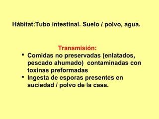 Hábitat:Tubo intestinal. Suelo / polvo, agua.

Transmisión:
 Comidas no preservadas (enlatados,
pescado ahumado) contaminadas con
toxinas preformadas
 Ingesta de esporas presentes en
suciedad / polvo de la casa.

 