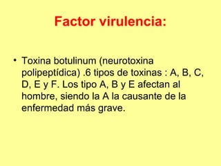 Factor virulencia:
• Toxina botulinum (neurotoxina
polipeptídica) .6 tipos de toxinas : A, B, C,
D, E y F. Los tipo A, B y E afectan al
hombre, siendo la A la causante de la
enfermedad más grave.

 