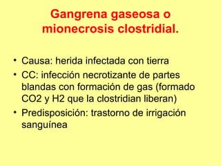 Gangrena gaseosa o
mionecrosis clostridial.
• Causa: herida infectada con tierra
• CC: infección necrotizante de partes
blandas con formación de gas (formado
CO2 y H2 que la clostridian liberan)
• Predisposición: trastorno de irrigación
sanguínea

 