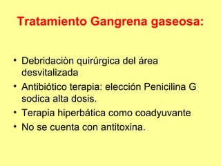 Tratamiento Gangrena gaseosa:
• Debridaciòn quirúrgica del área
desvitalizada
• Antibiótico terapia: elección Penicilina G
sodica alta dosis.
• Terapia hiperbática como coadyuvante
• No se cuenta con antitoxina.

 