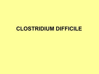 CLOSTRIDIUM DIFFICILE

 
