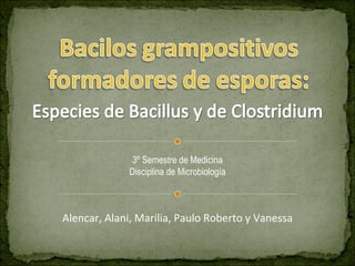 Alencar, Alani, Marília, Paulo Roberto y Vanessa 3º Semestre de Medicina Disciplina de Microbiología 